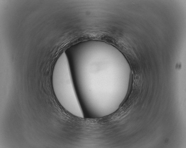 X0000090871249200707270947