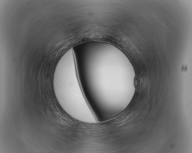 X0000090871250200707270947