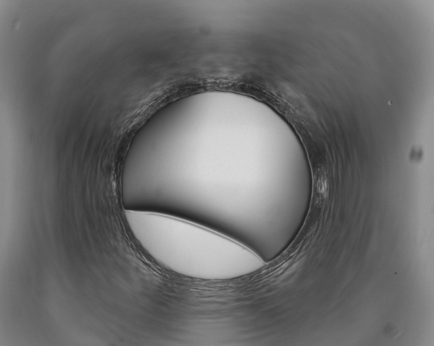 X0000090871252200707270947