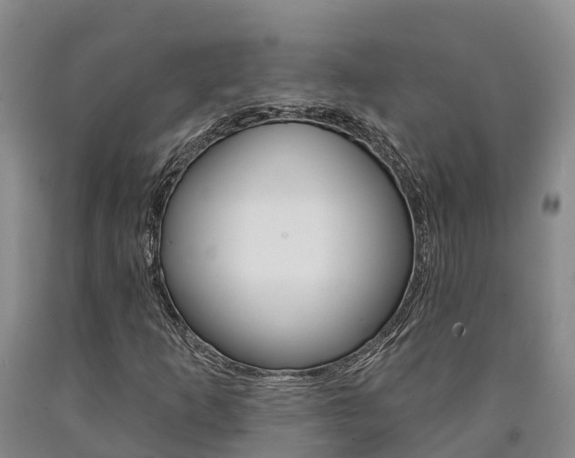 X0000090871253200707270947