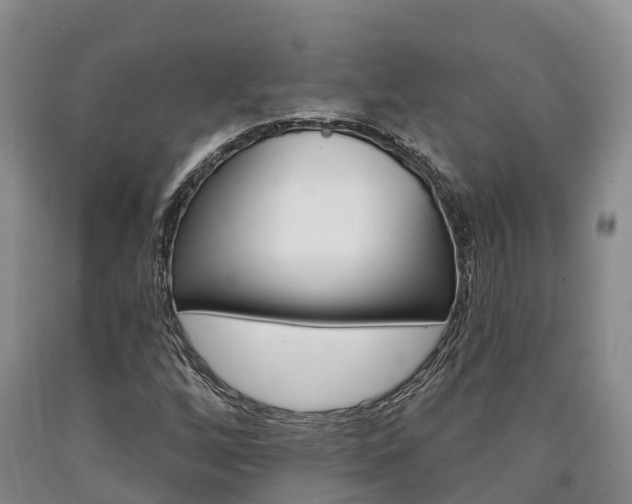X0000090871256200707270947