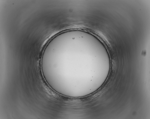 X0000090871260200707270947