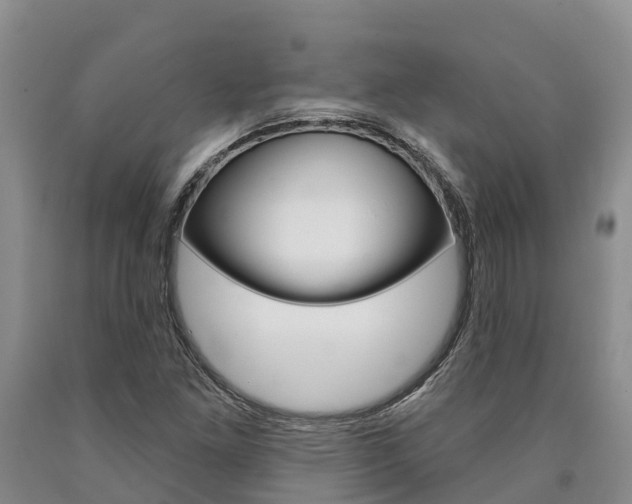 X0000090871261200707270947