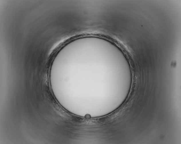 X0000090871262200707270947