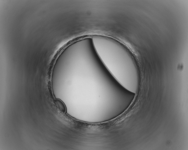 X0000090871264200707270947