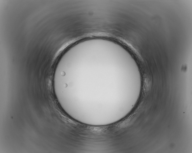 X0000090871266200707270947