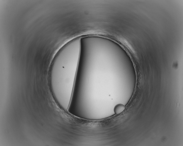 X0000090871268200707270947