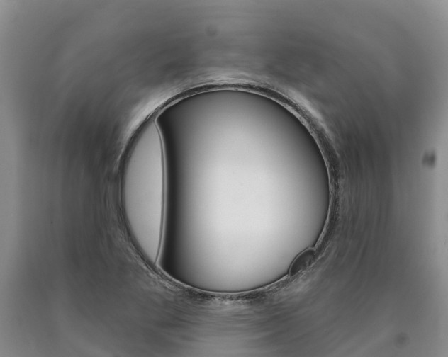 X0000090871269200707270947