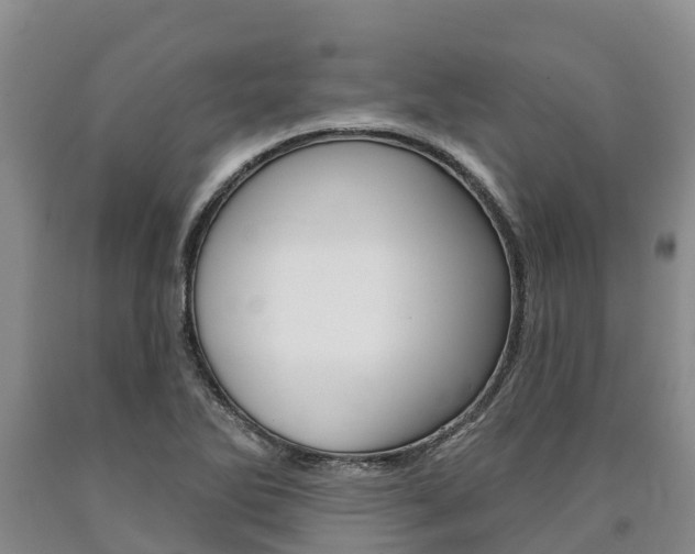 X0000090871270200707270947