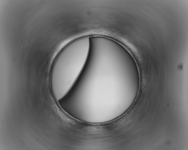 X0000090871272200707270947