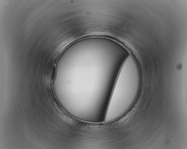 X0000090871273200707270947