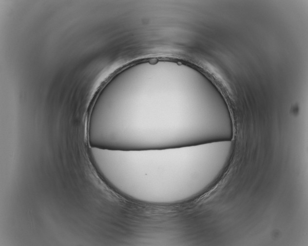 X0000090871275200707270947