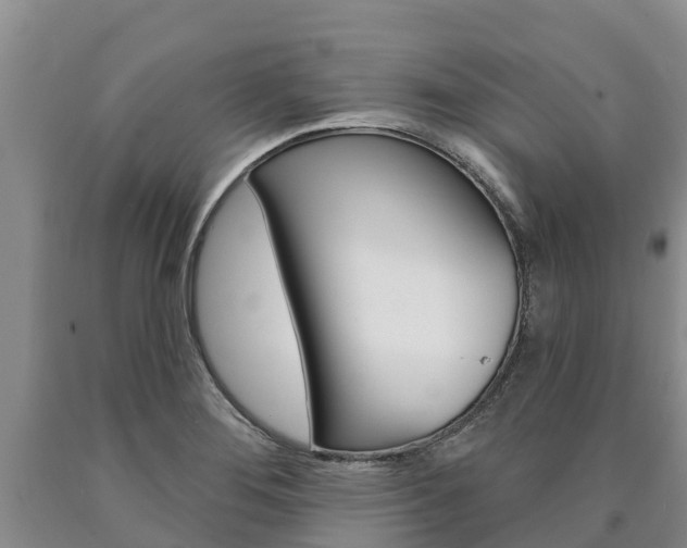 X0000090871276200707270947