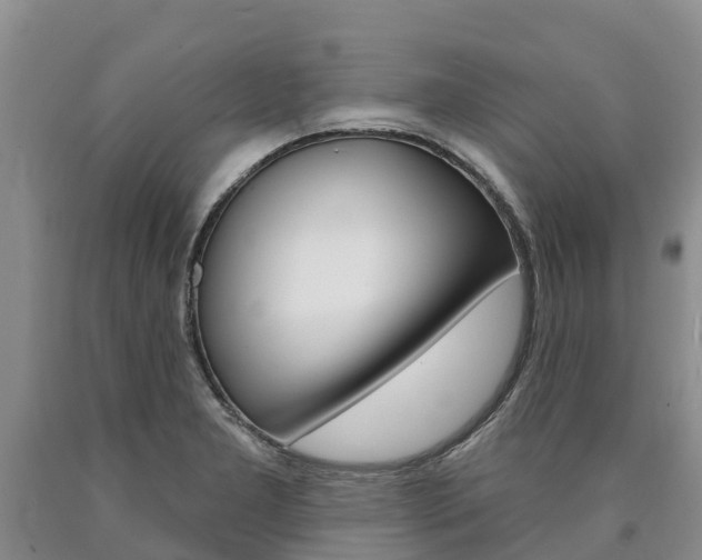 X0000090871277200707270947