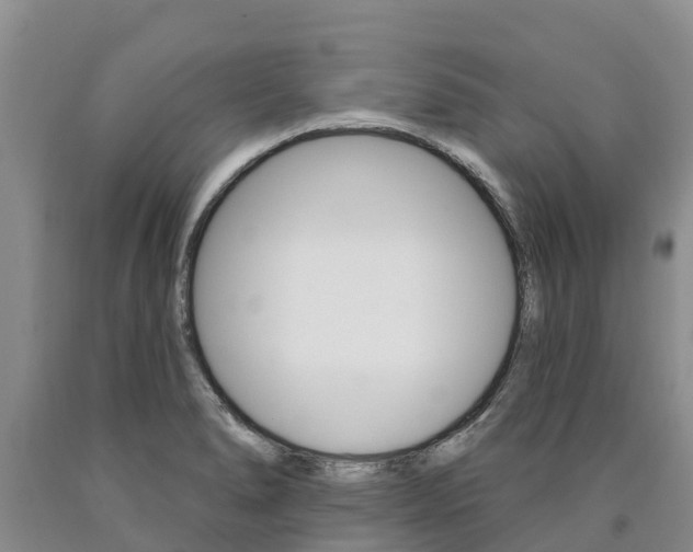 X0000090871278200707270947