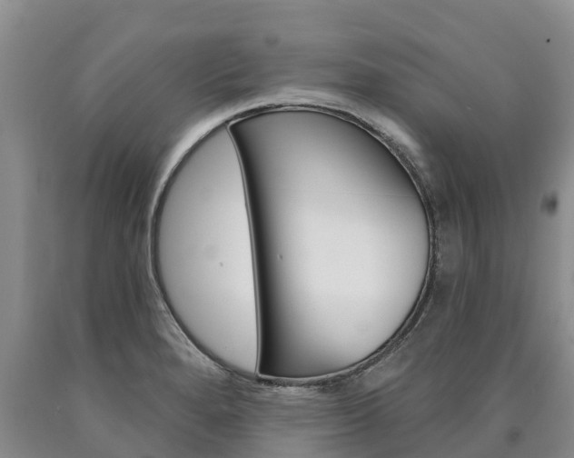 X0000090871280200707270947