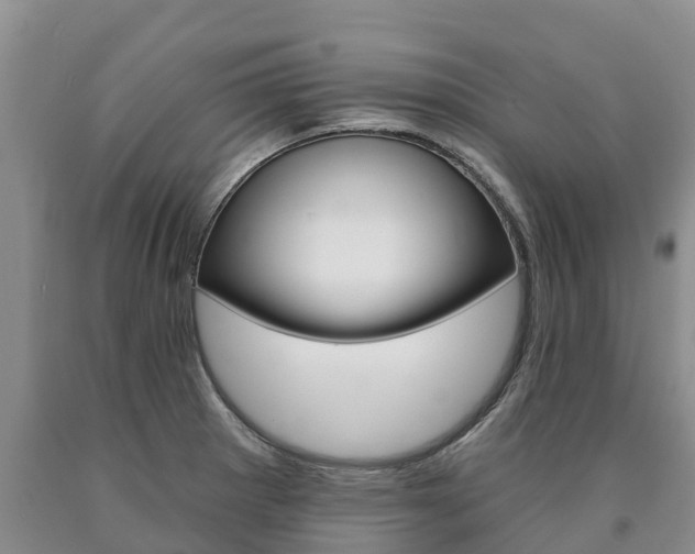 X0000090871281200707270947