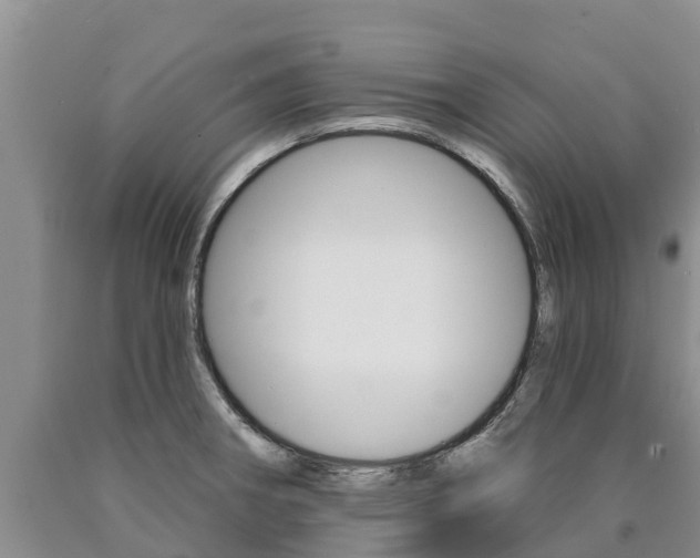 X0000090871282200707270947