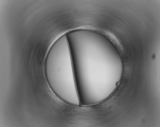 X0000090871284200707270947