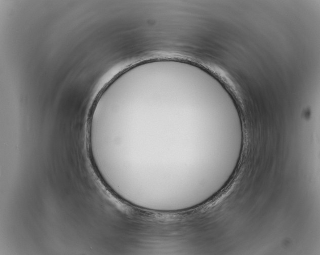 X0000090871286200707270947