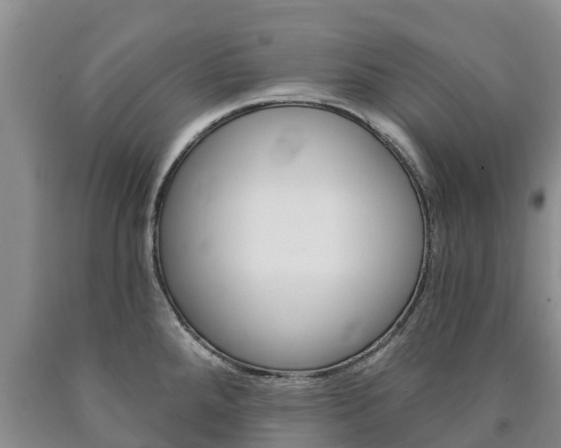 X0000090871288200707270947