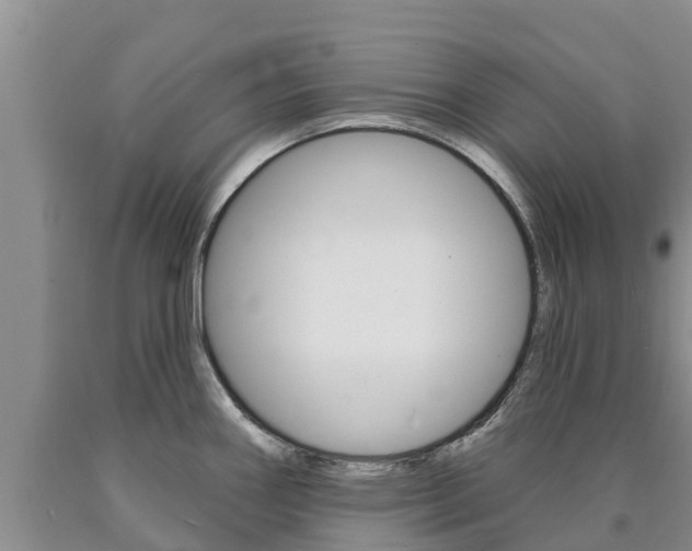 X0000090871290200707270947