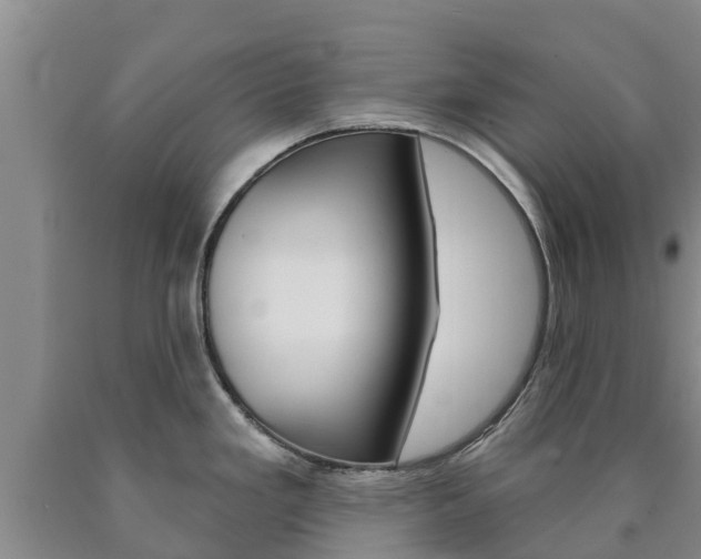 X0000090871293200707270947
