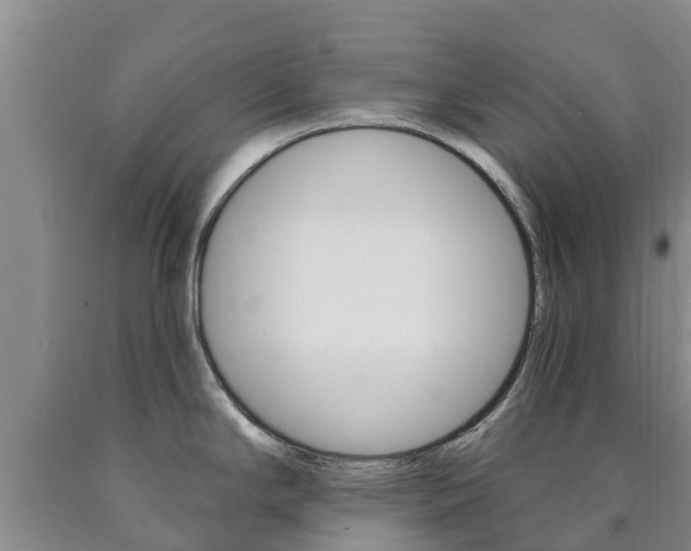 X0000090871294200707270947