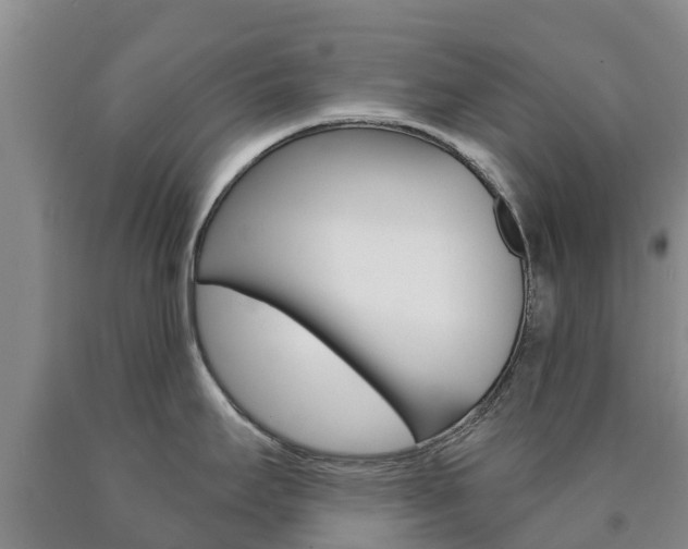 X0000090871295200707270947