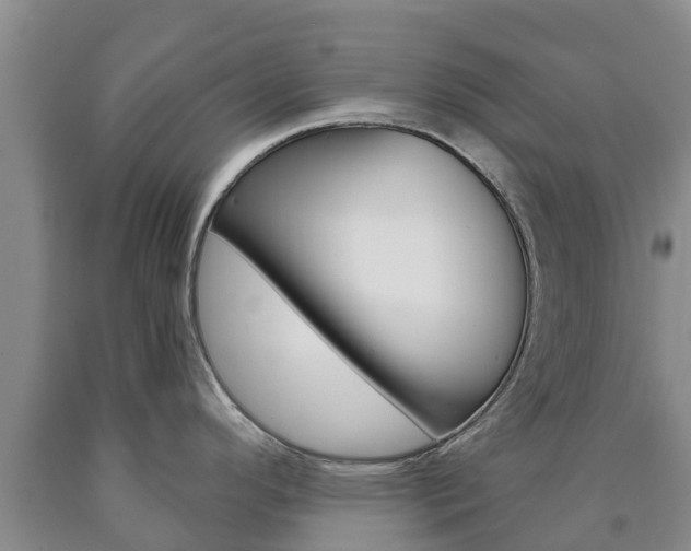 X0000090871296200707270947