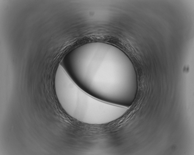 X0000090871297200707270946