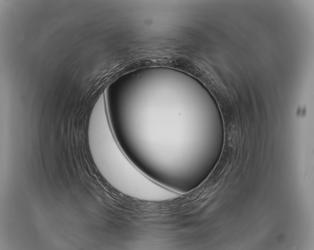 X0000090871298200707270946