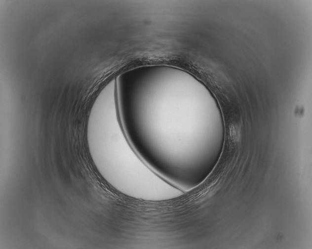 X0000090871300200707270946