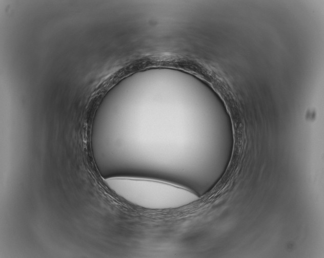X0000090871301200707270946