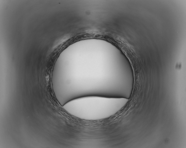 X0000090871302200707270946