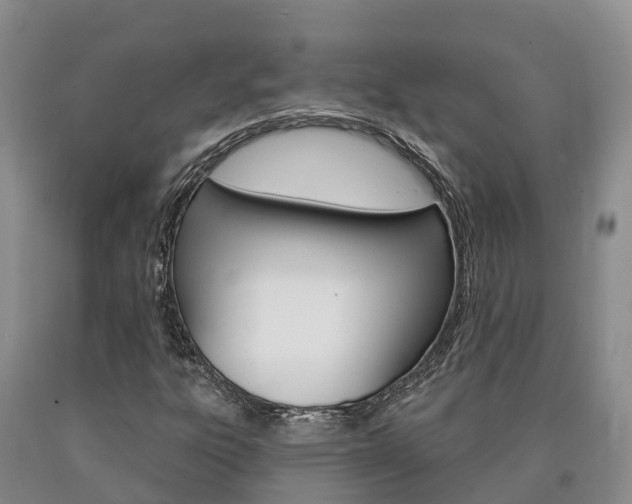 X0000090871303200707270946