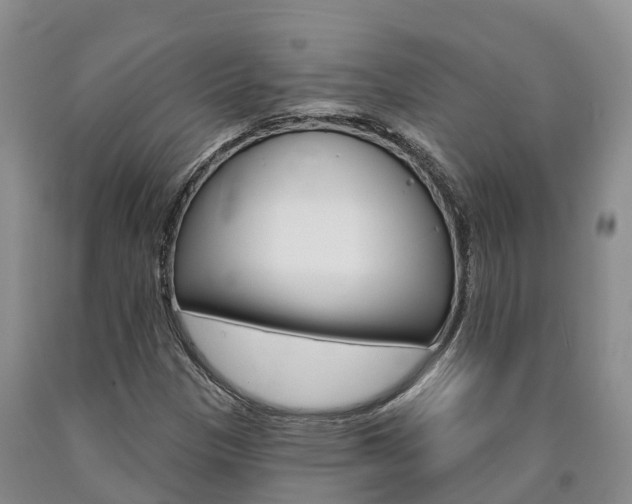X0000090871305200707270946
