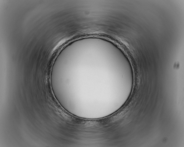 X0000090871306200707270946