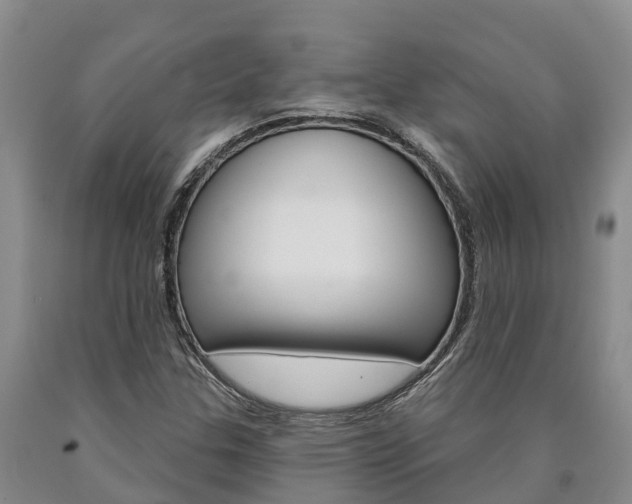 X0000090871307200707270946