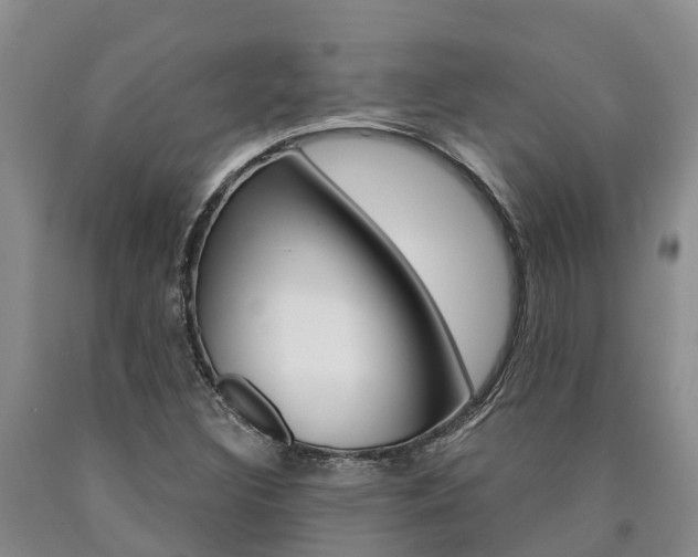 X0000090871308200707270946