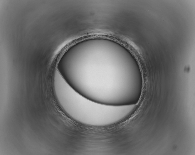 X0000090871310200707270946