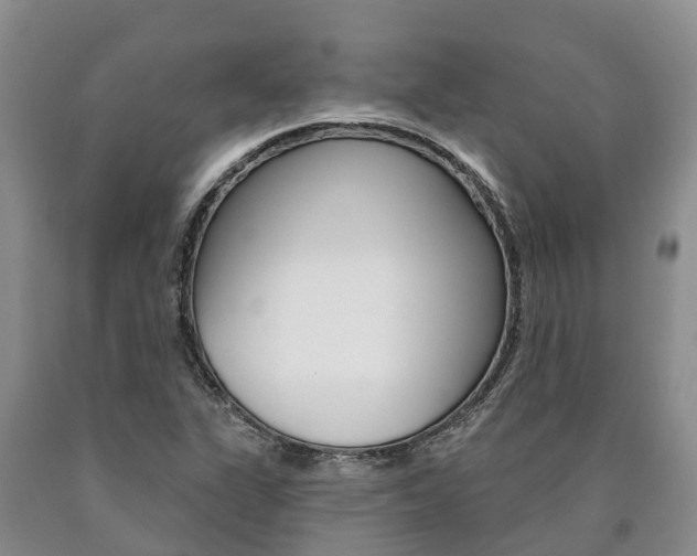 X0000090871311200707270946