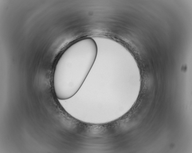 X0000090871314200707270946