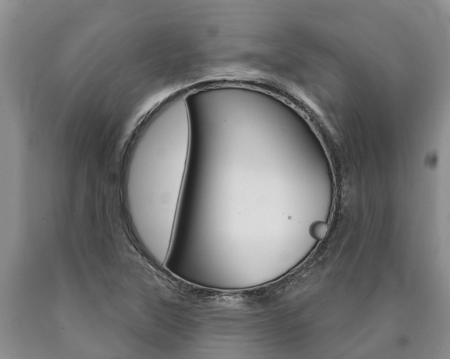 X0000090871315200707270946