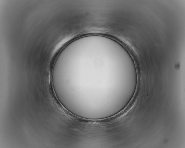 X0000090871317200707270946