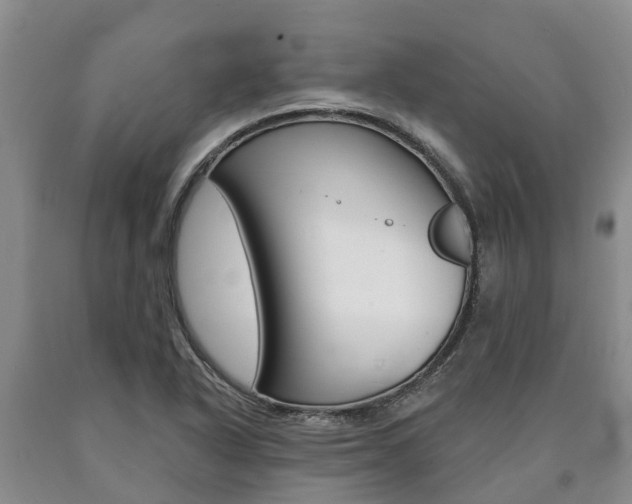 X0000090871318200707270946