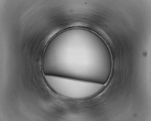 X0000090871321200707270946