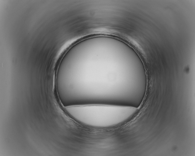 X0000090871323200707270946