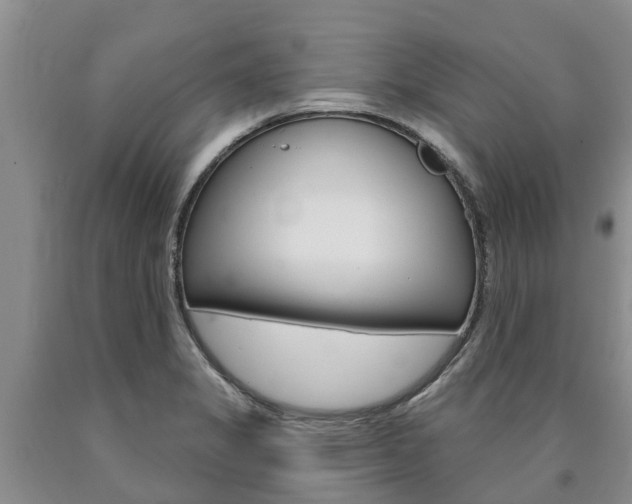 X0000090871325200707270946
