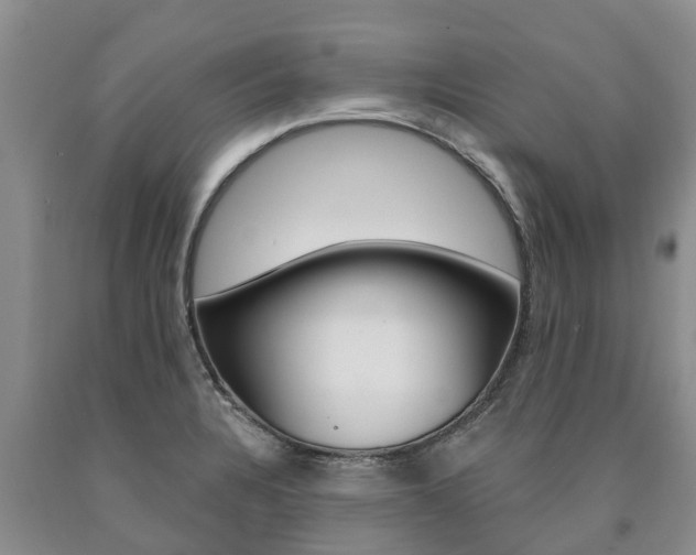X0000090871328200707270946
